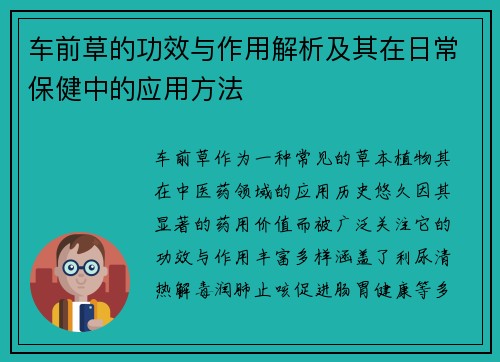 车前草的功效与作用解析及其在日常保健中的应用方法