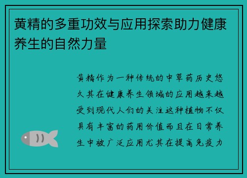 黄精的多重功效与应用探索助力健康养生的自然力量